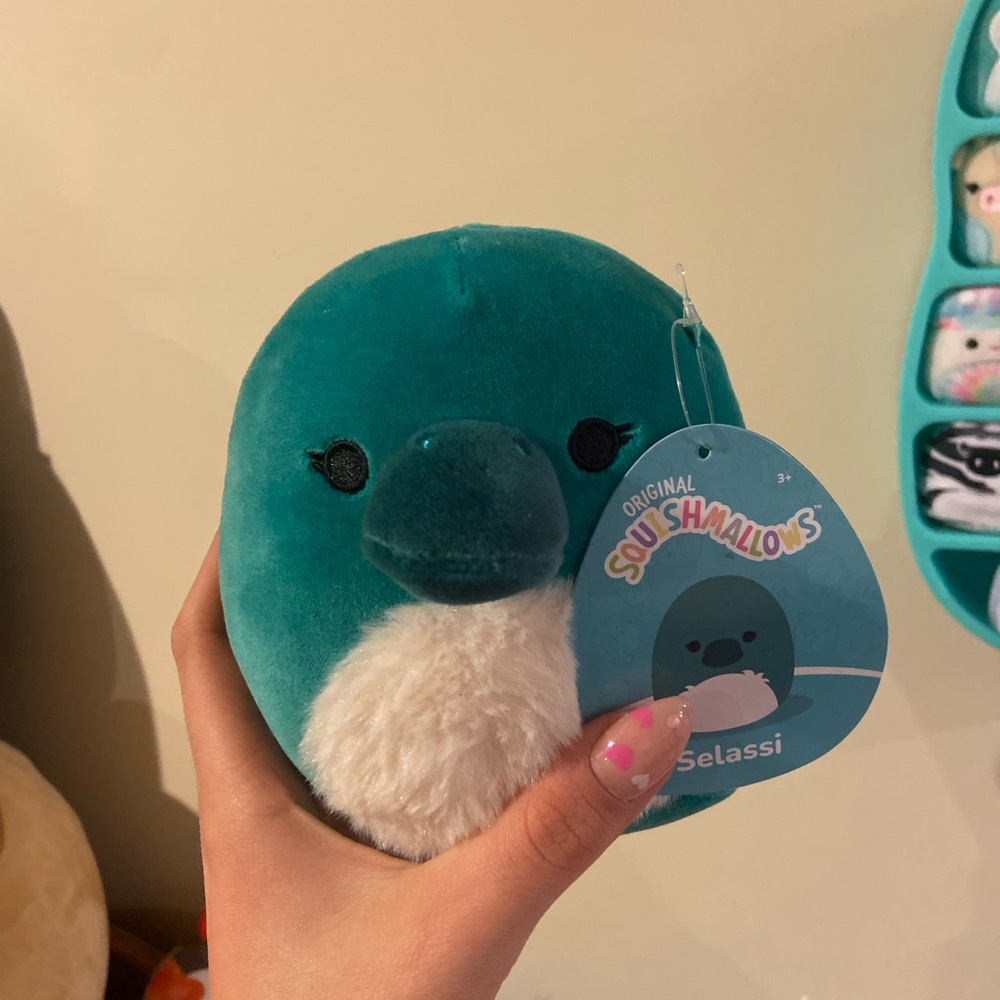 Selassi the squishmallow 🥰🤍